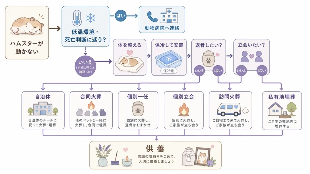 ハムスターが動かないときから葬儀と供養を選ぶ流れ