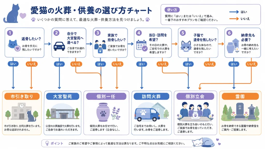 さいたま市で猫の火葬と供養方法を選ぶ図