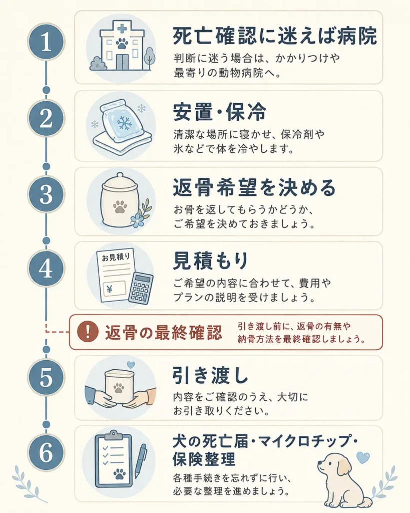 ペットが亡くなってから引き取り後の手続きまでのタイムライン